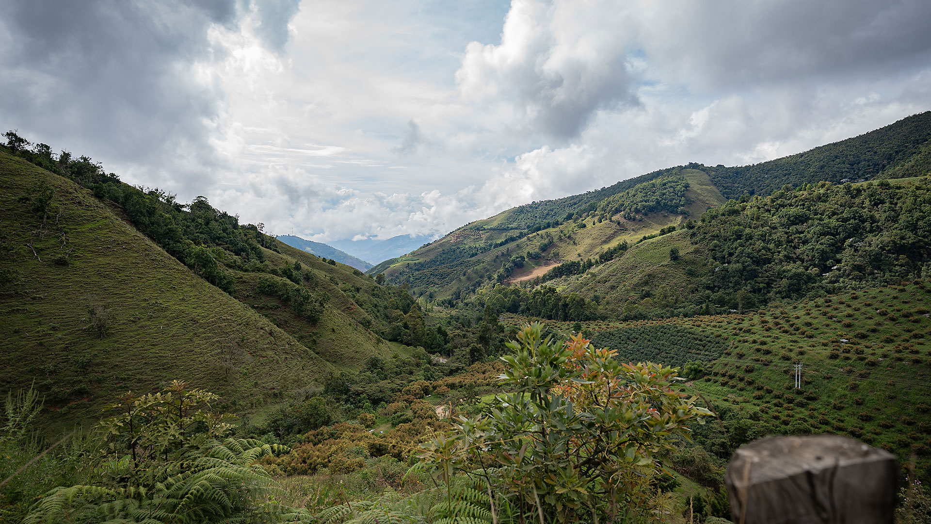 Andes Background